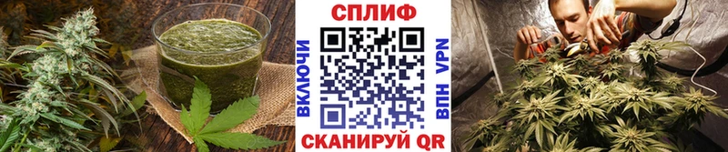 Canna-Cookies конопля  omg tor  Боровск 