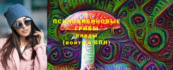 Альфа ПВП Осташков