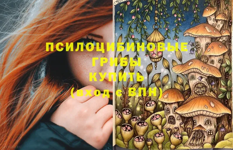 Псилоцибиновые грибы Psilocybine cubensis  как найти закладки  Боровск 