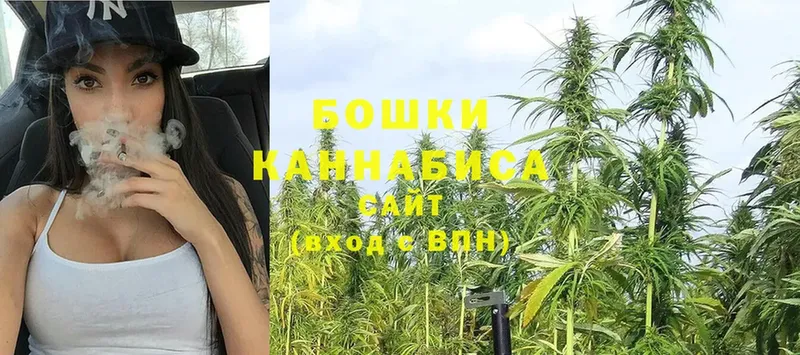 Бошки Шишки SATIVA & INDICA  Боровск 