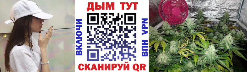 Конопля конопля  Боровск 